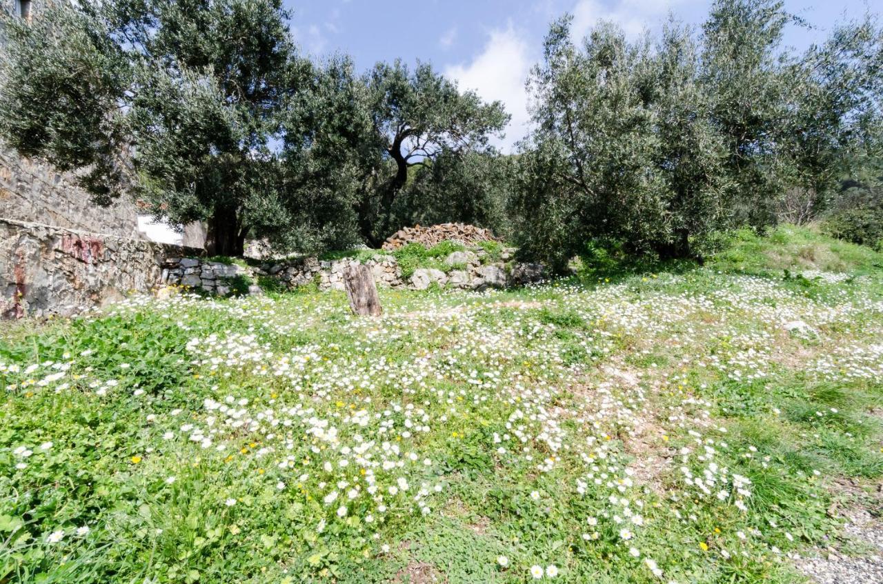 Apartmani Popovic Babino Polje Buitenkant foto